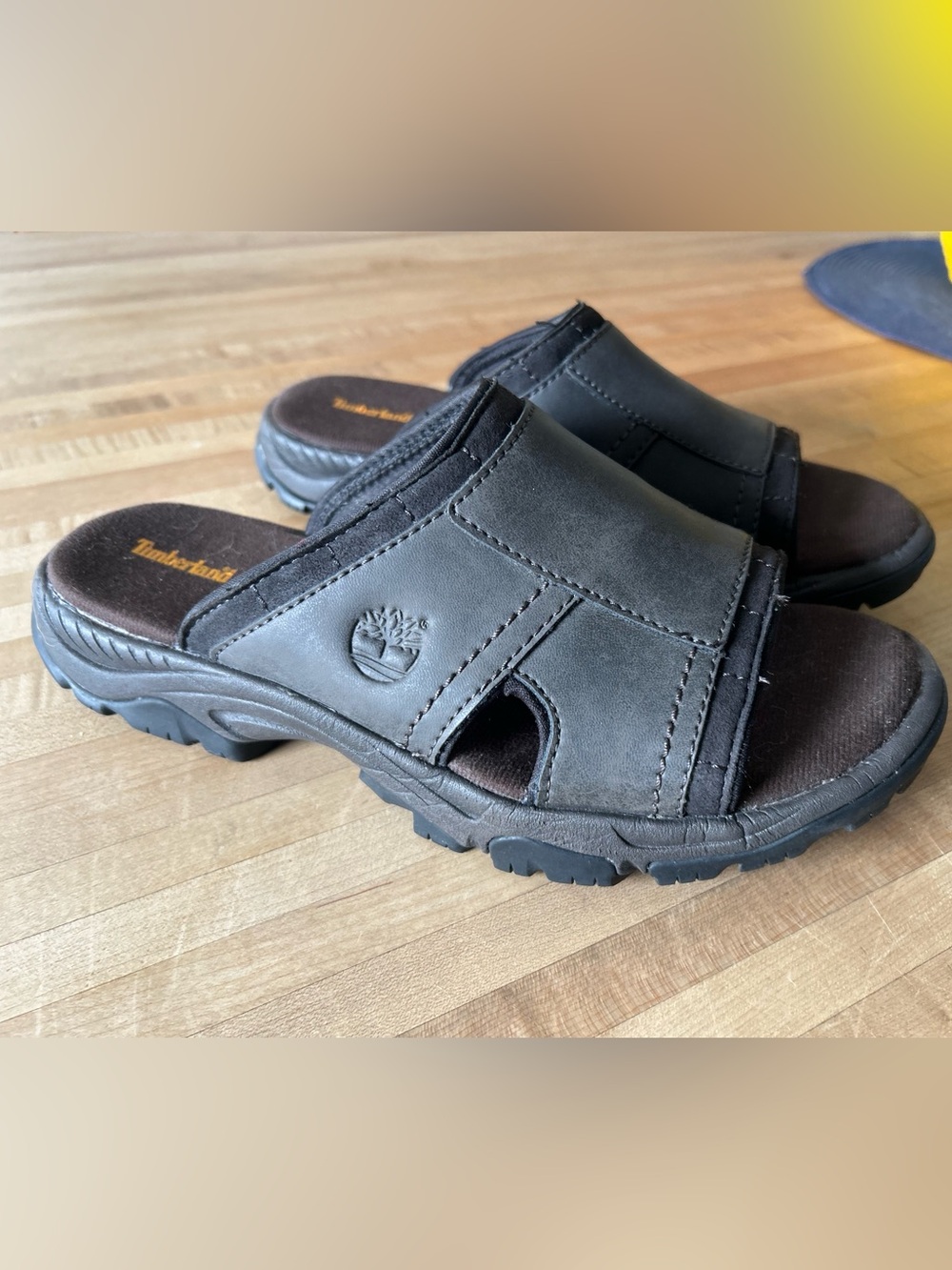 Timberland Men's Roslindale Slide Sandals